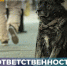 Специалисты напоминают об ответственности за нарушение правил содержания домашних животных - Город Краснотурьинск